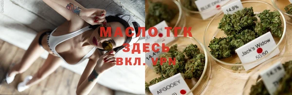 сатива Аркадак