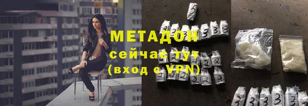 сатива Аркадак