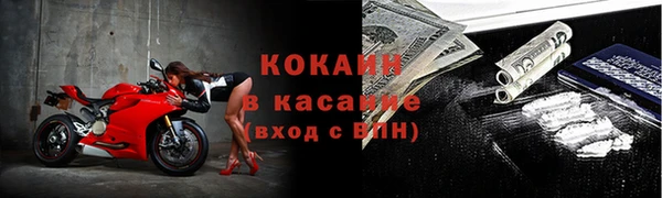 сатива Аркадак