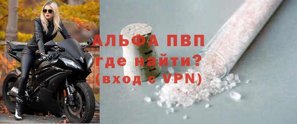 сатива Аркадак