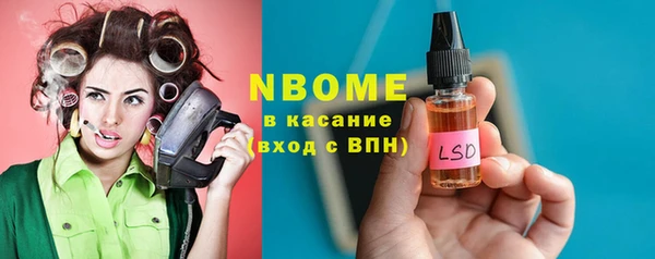 сатива Аркадак