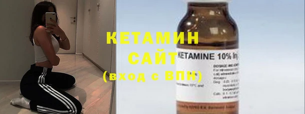сатива Аркадак