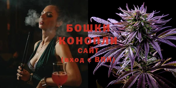 амф Арсеньев
