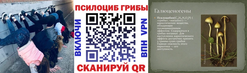 Псилоцибиновые грибы мухоморы  Купить где  Приволжский 